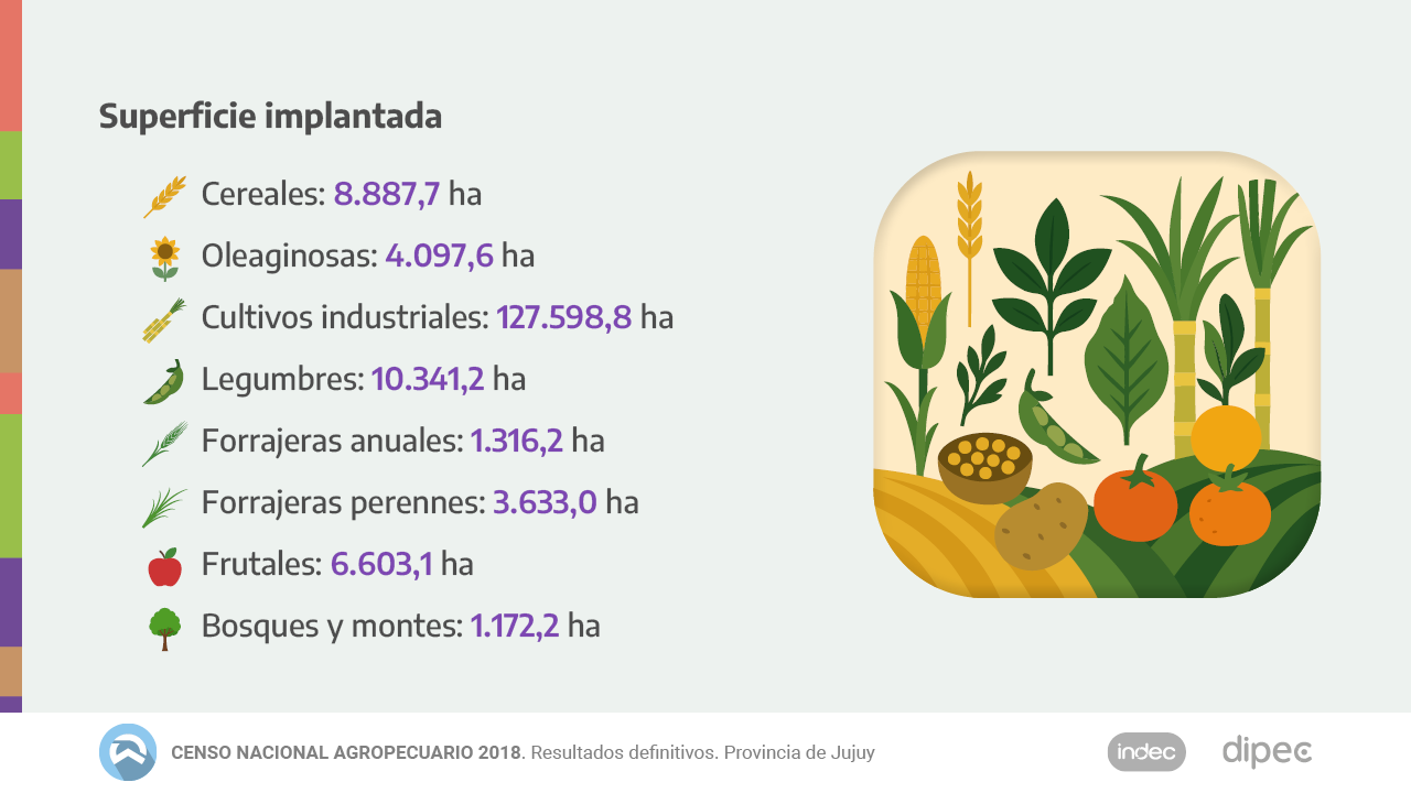 CNA2018 Datos definitivos07