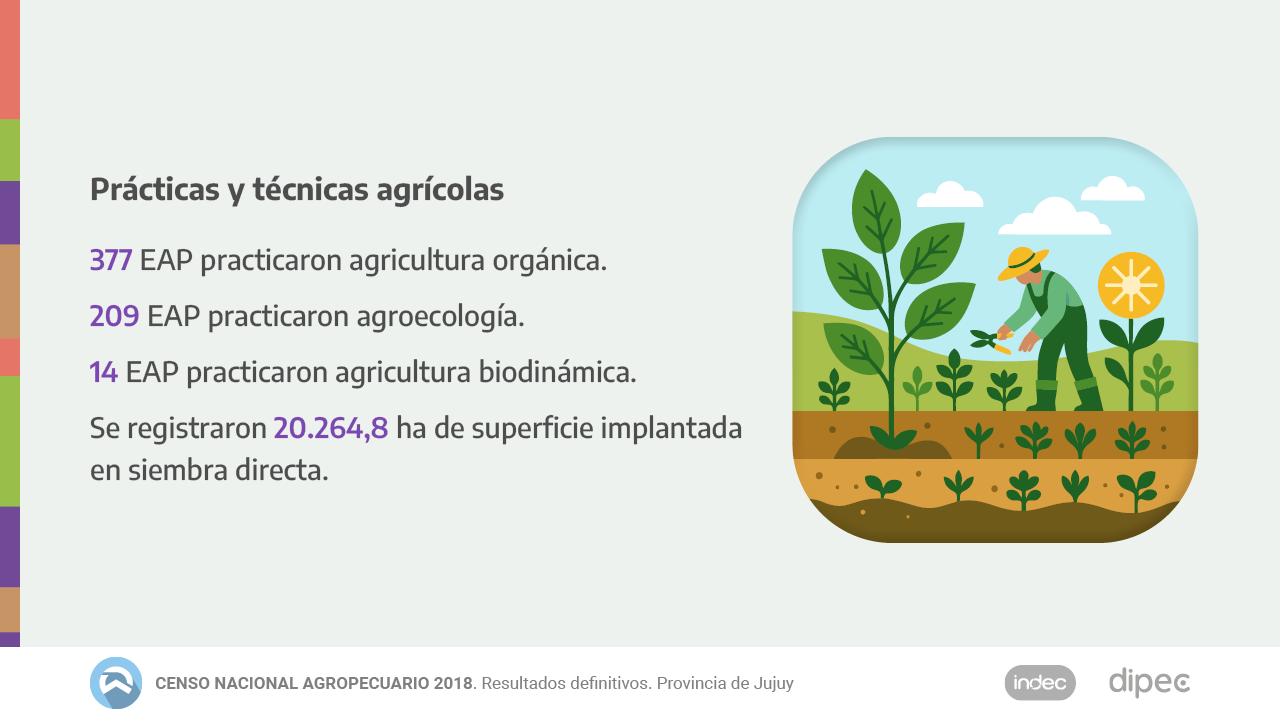 CNA2018 Datos definitivos08