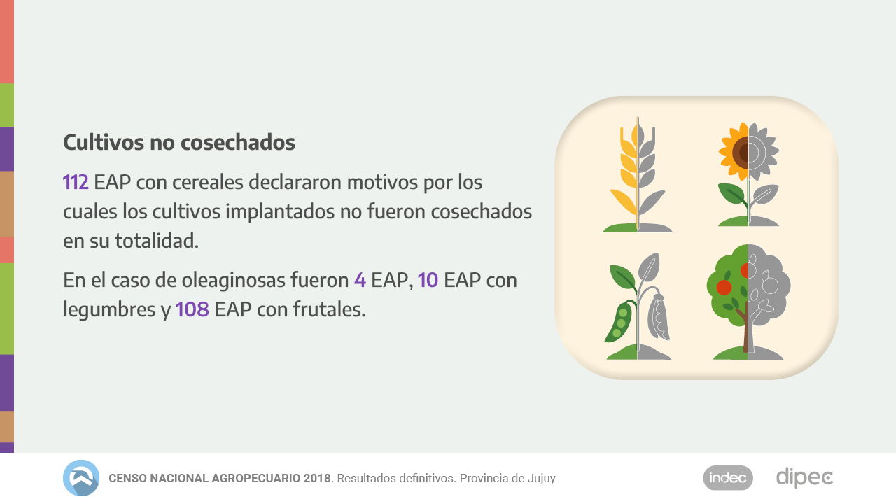 CNA2018 Datos definitivos10