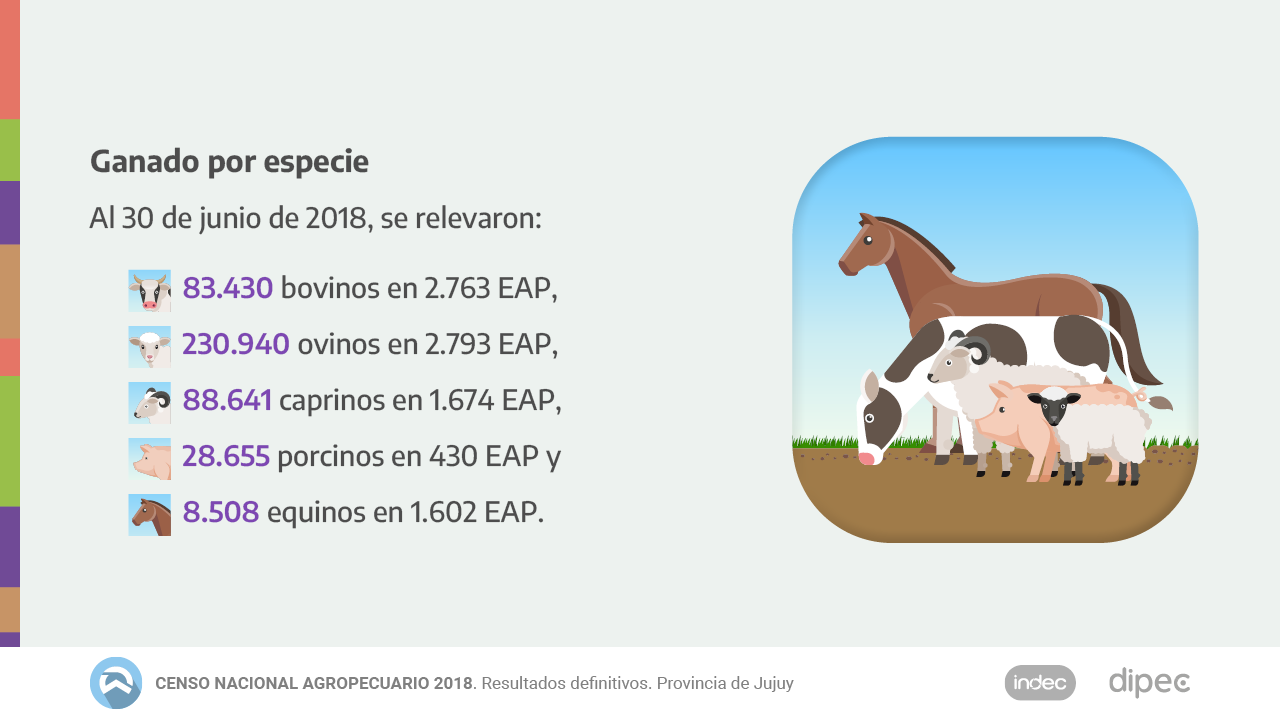 CNA2018 Datos definitivos11