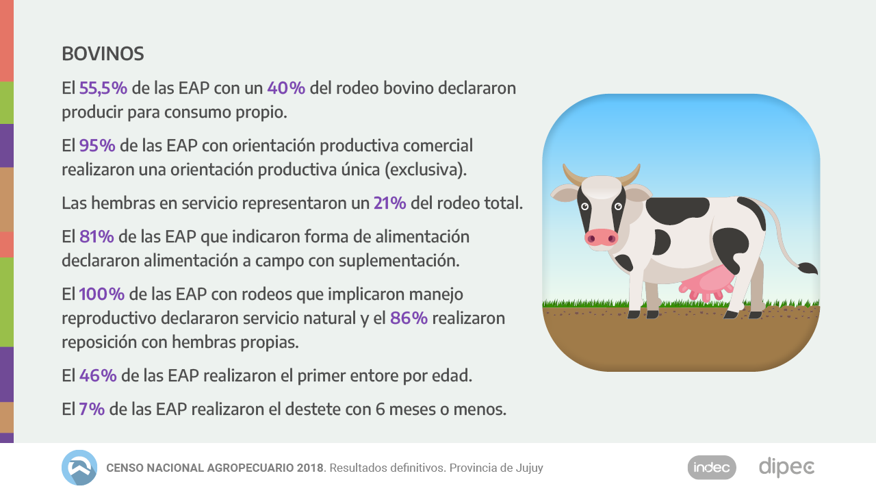 CNA2018 Datos definitivos12