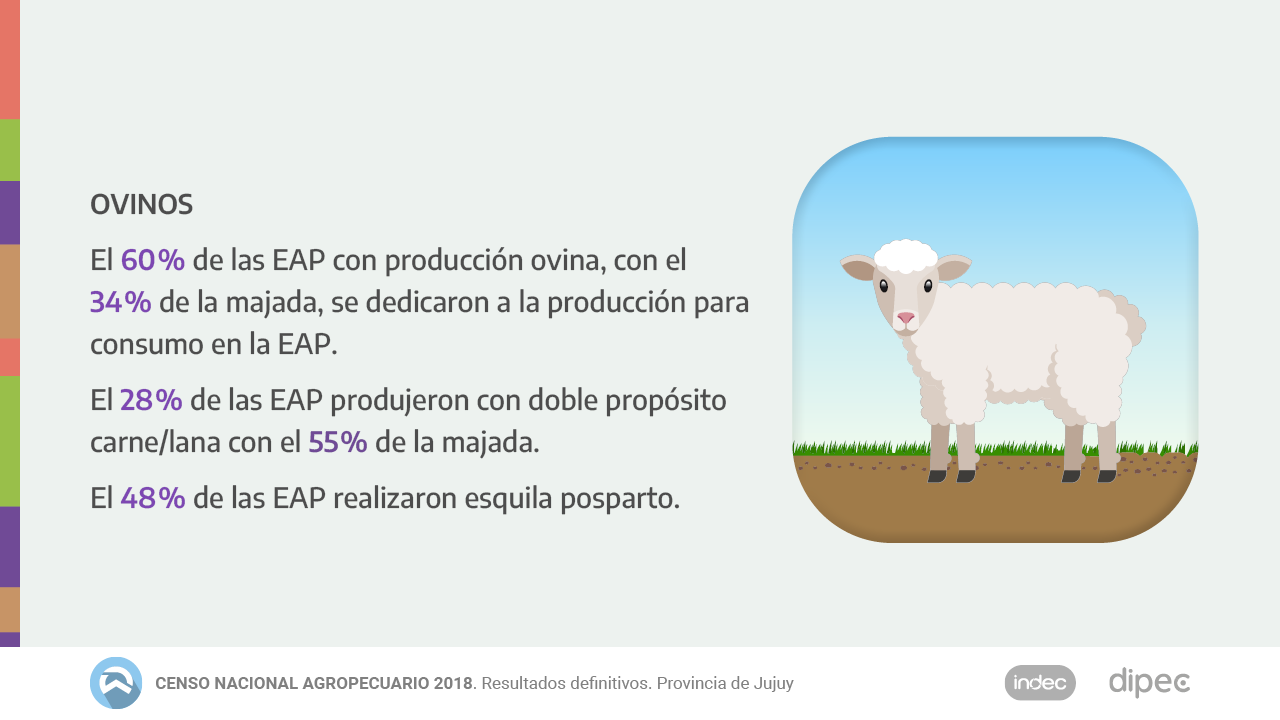 CNA2018 Datos definitivos13