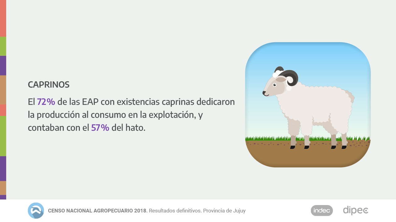 CNA2018 Datos definitivos14