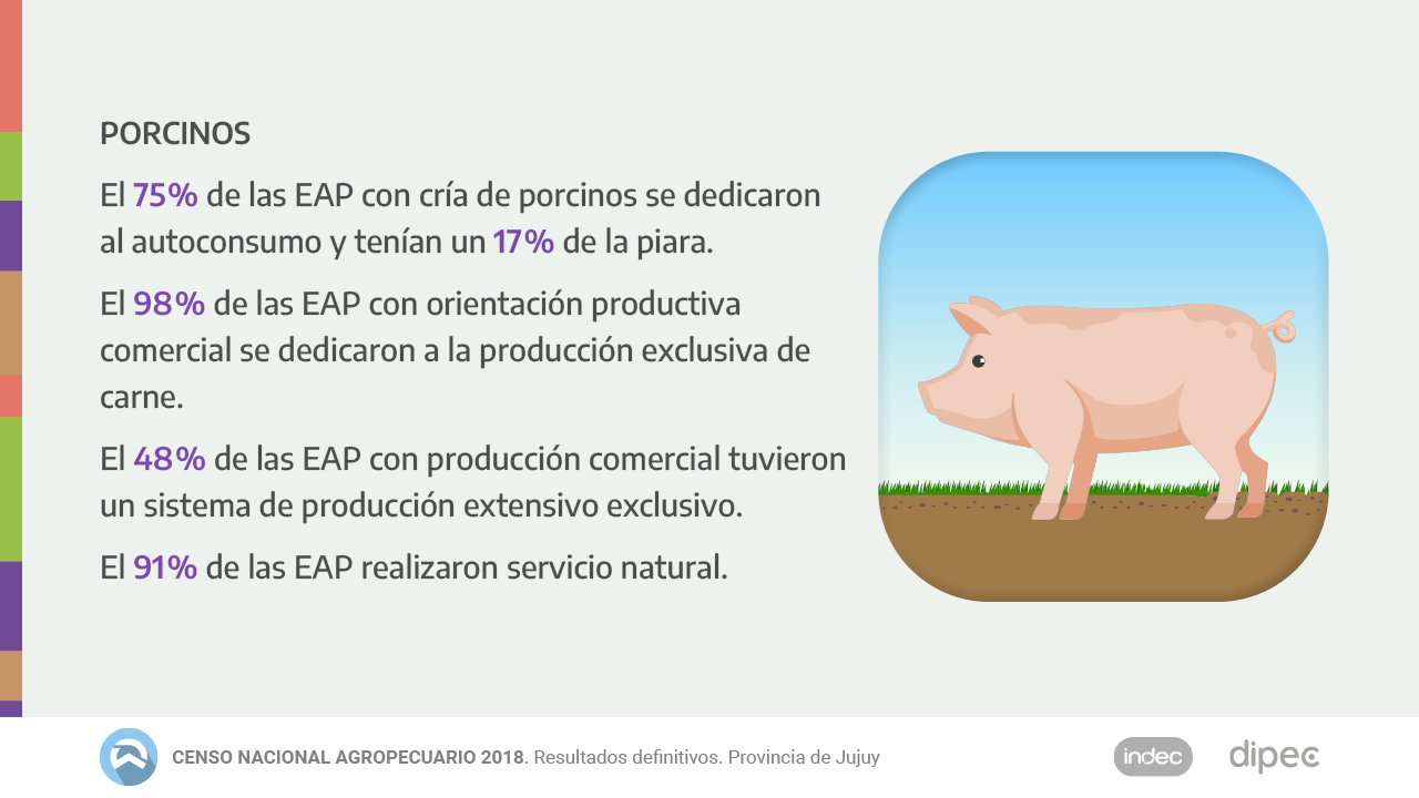 CNA2018 Datos definitivos15