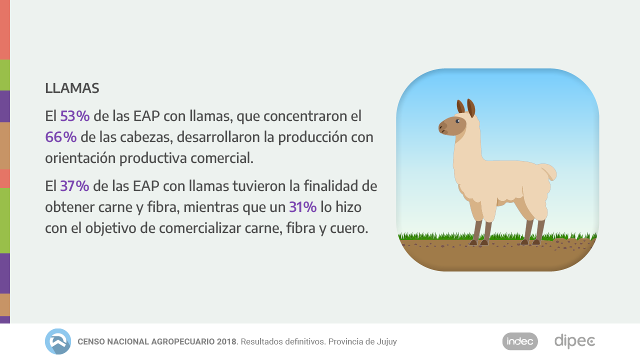 CNA2018 Datos definitivos17